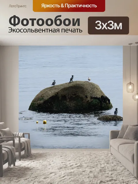 Фотообои Птицы на скале