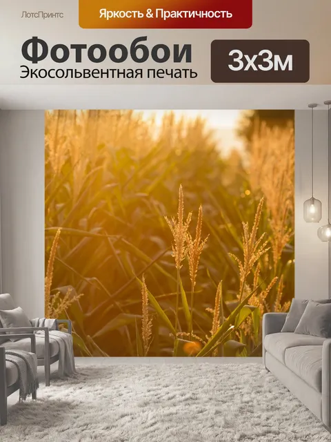 Фотообои Зерно