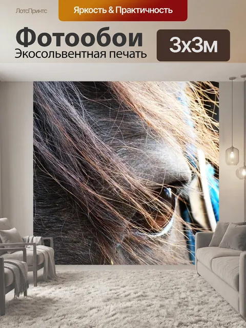 Фотообои Лошадь