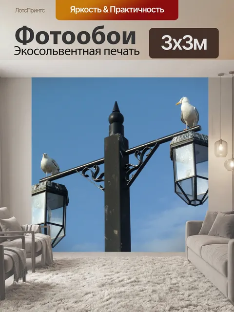 Фотообои Птица