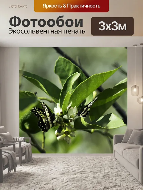 Фотообои Листы