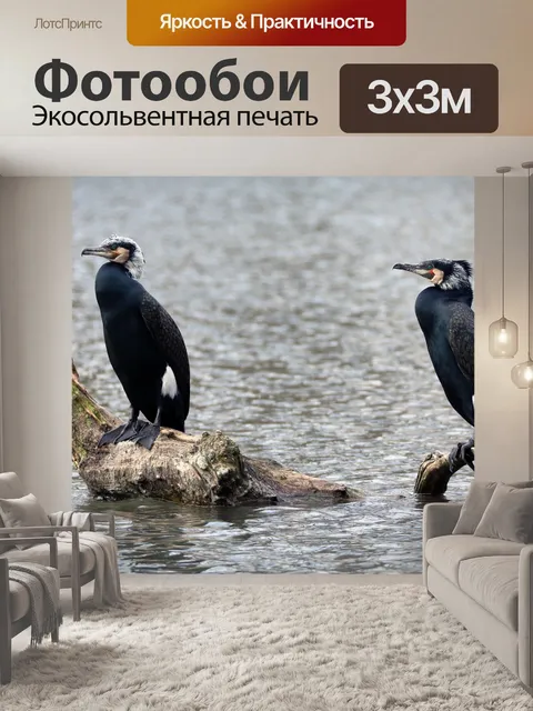 Фотообои Птица