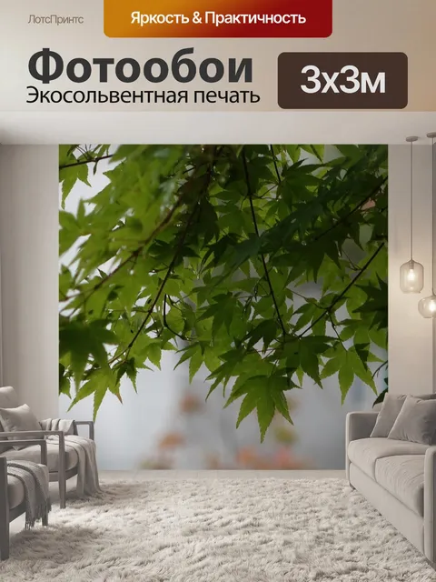 Фотообои Клен