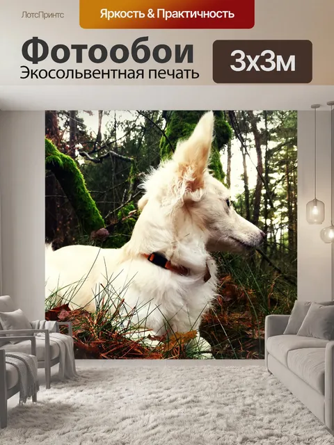 Фотообои Животное