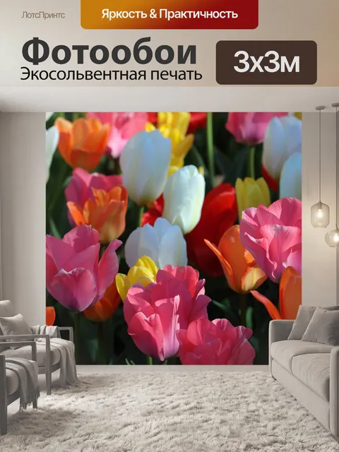 Фотообои Тюльпаны