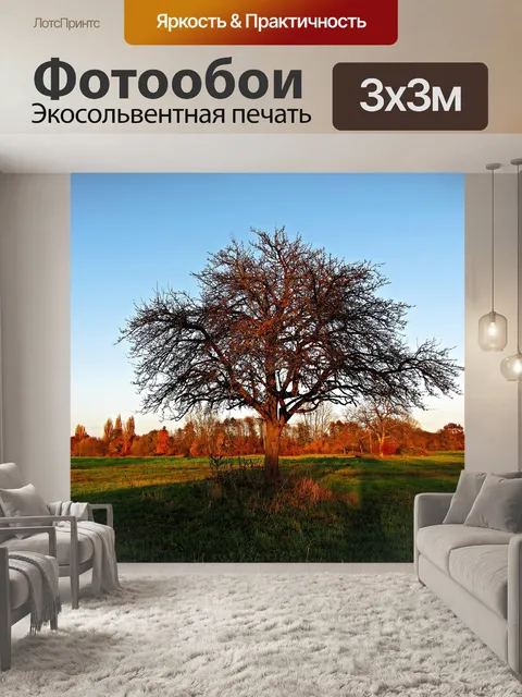 Фотообои Весна