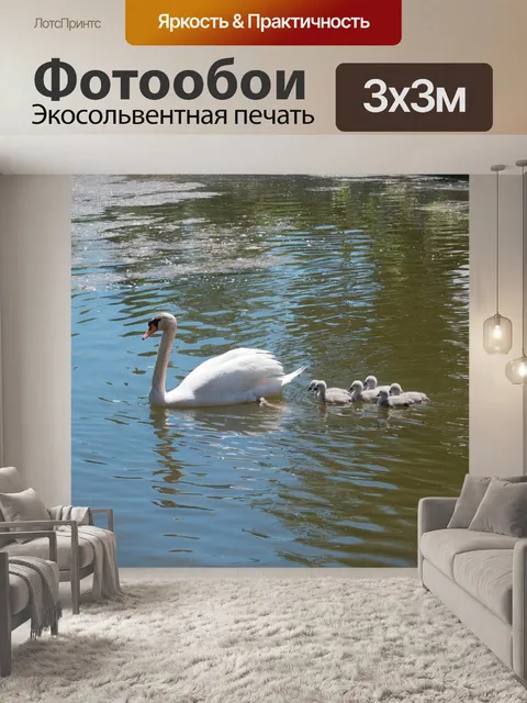 Фотообои Семья лебедей