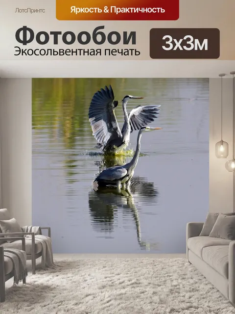 Фотообои Цапли