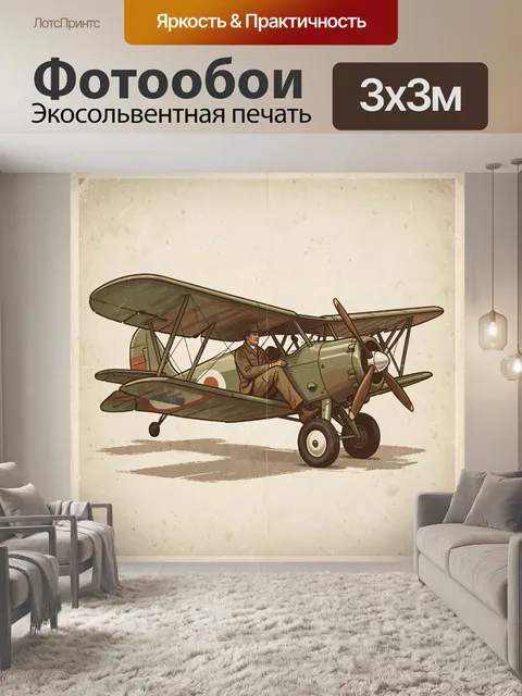 Фотообои Винтажный биплан с пилотом