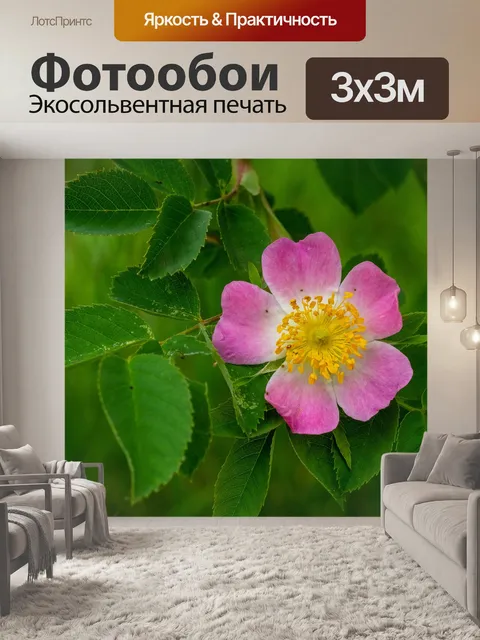 Фотообои Розы