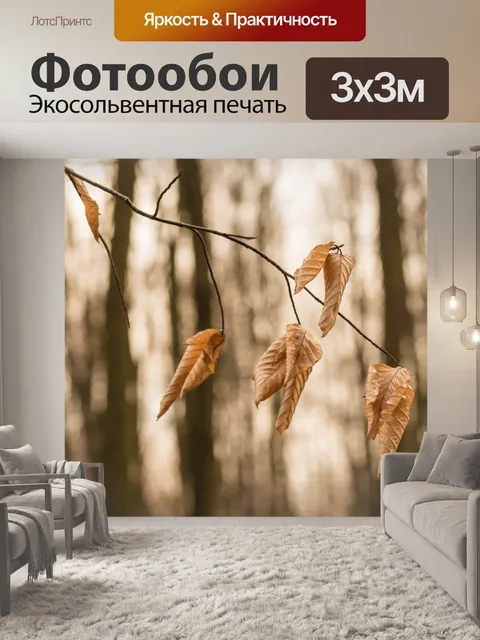 Фотообои Сухие листья