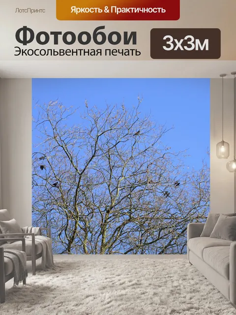 Фотообои Группа сидящих ворон