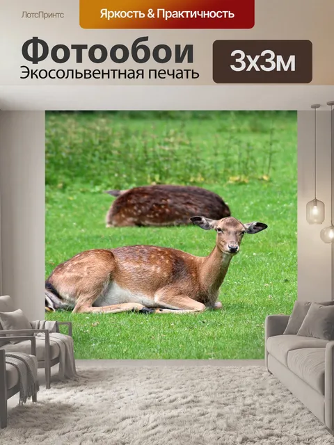 Фотообои Лес