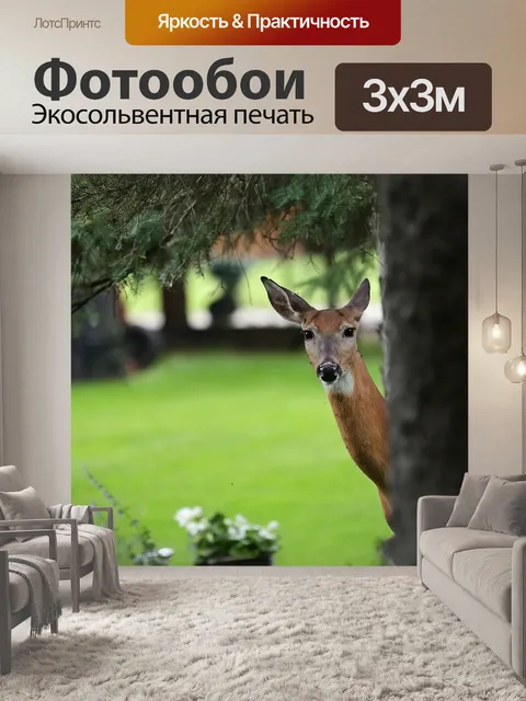 Фотообои Олень