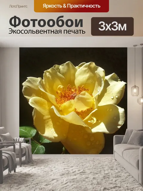 Фотообои Роза