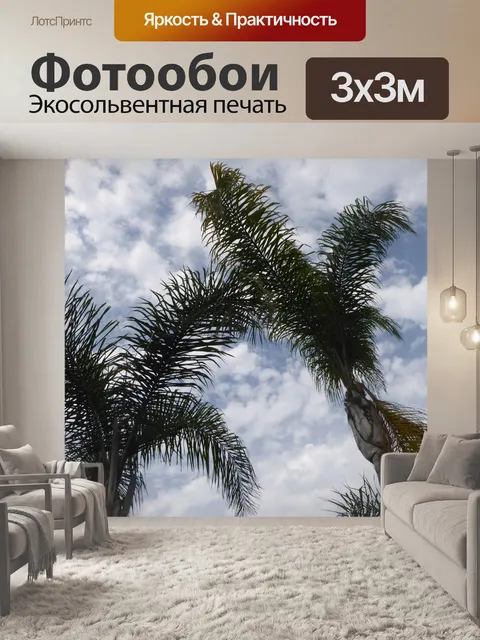 Фотообои Пальмы Дерево и небо