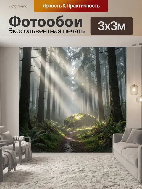 Фотообои Туманный хвойный лес с лучами