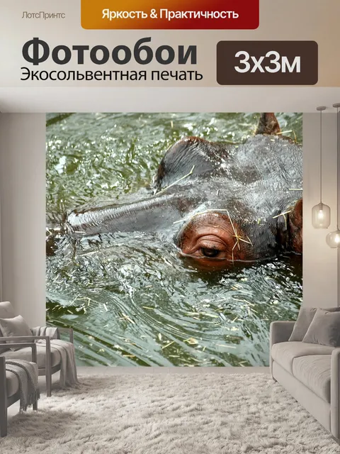 Фотообои Бегемот в воде