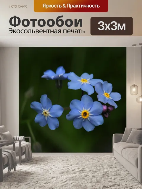 Фотообои Цветы