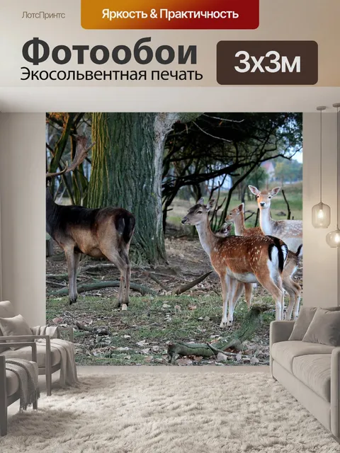Фотообои Лань