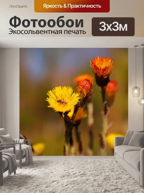 Фотообои Цветы