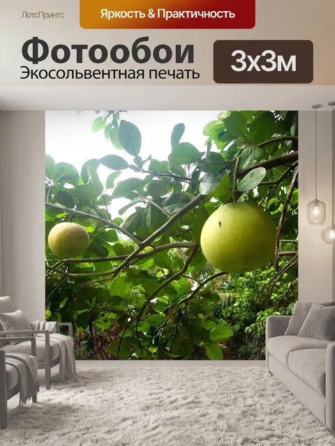 Фотообои Помело