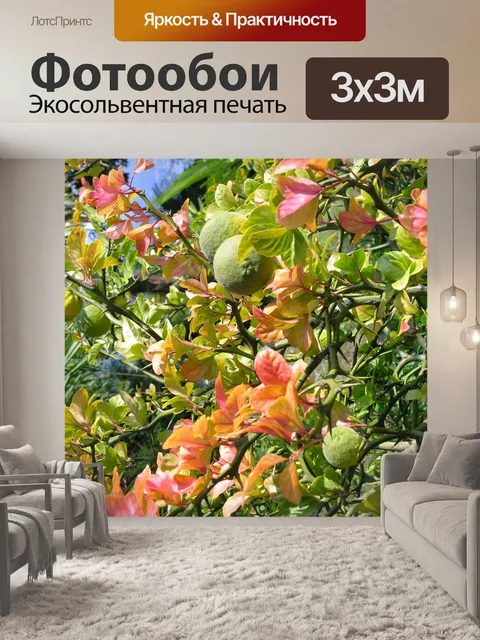 Фотообои Горький апельсин