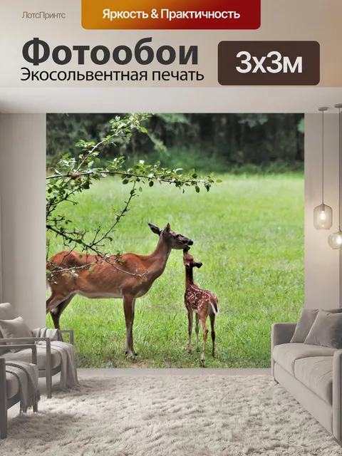 Фотообои Белохвостый лань и олень весной