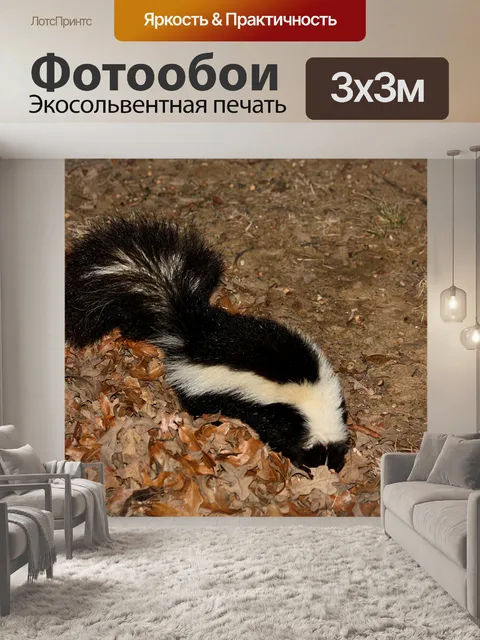 Фотообои Полосатый скунс в листьях