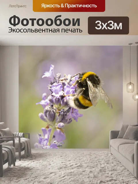 Фотообои Бурдон