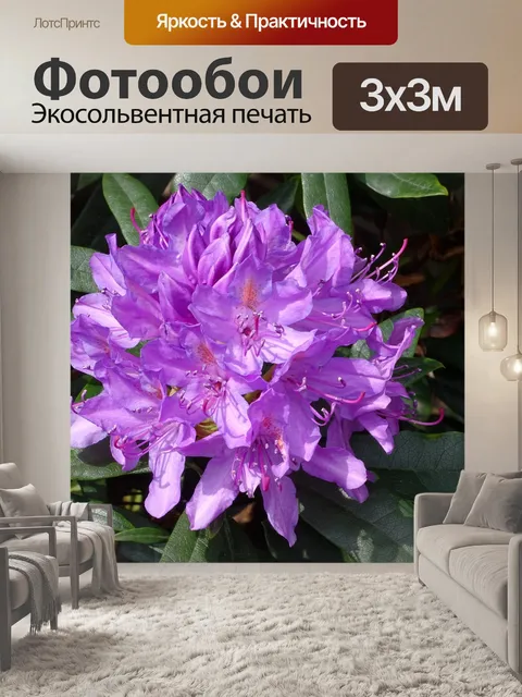 Фотообои Буш-цветок