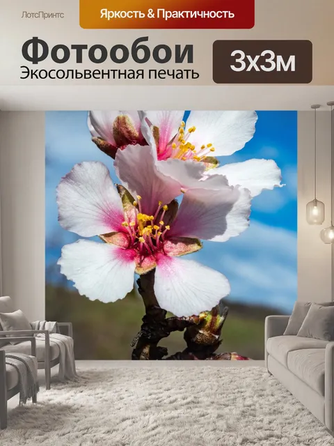 Фотообои Цветущая ветка