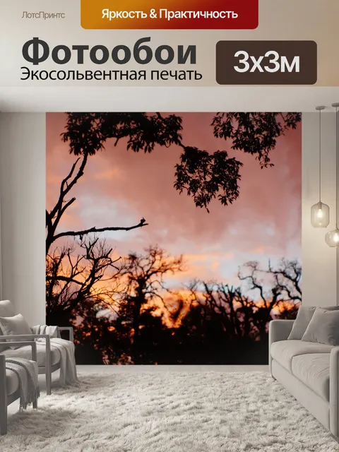 Фотообои Заходом солнца в джунглях