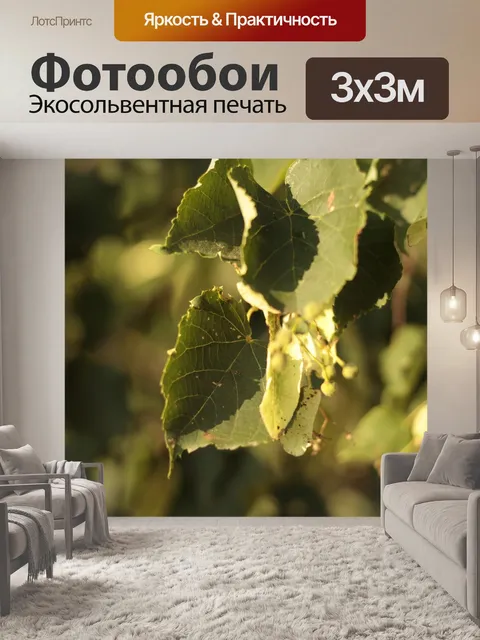 Фотообои Листья