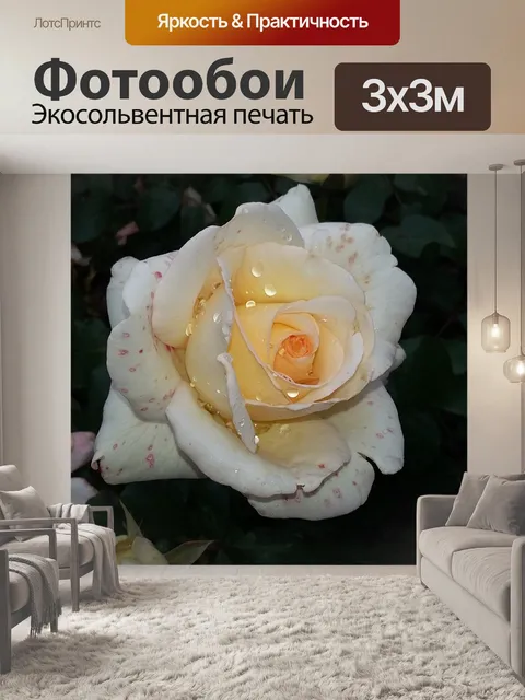 Фотообои Розы