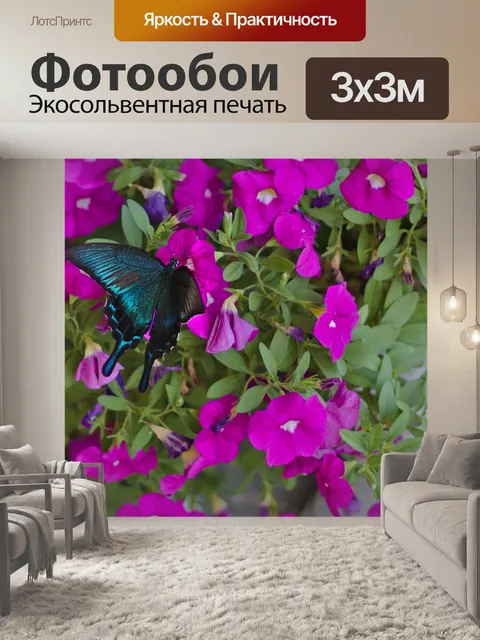 Фотообои Бабочка