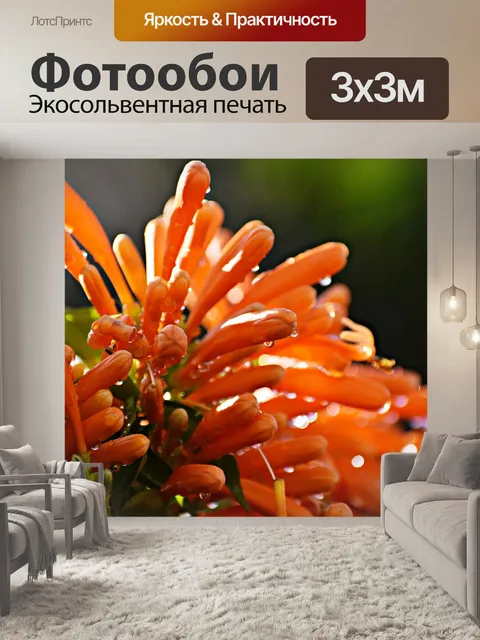 Фотообои Цветы