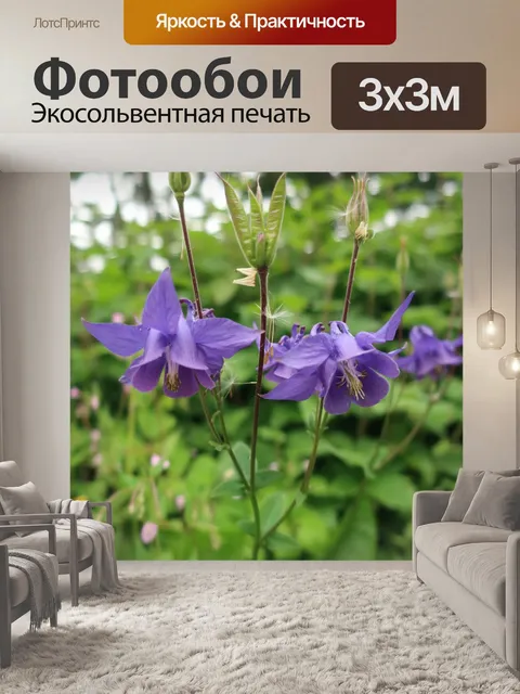 Фотообои Цветы