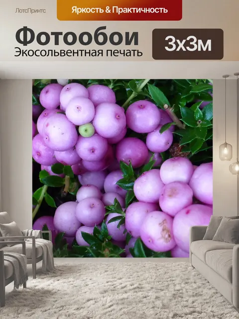 Фотообои Фрукты
