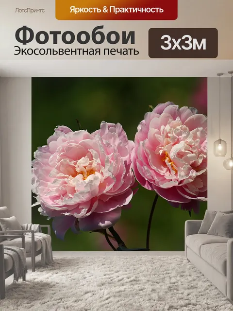 Фотообои Пионы