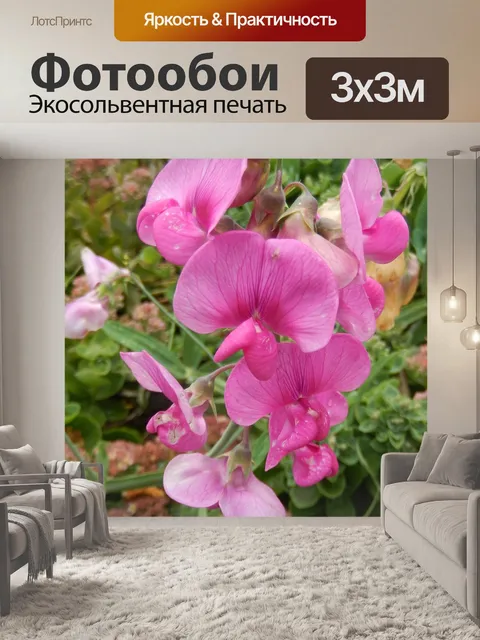 Фотообои Цветы
