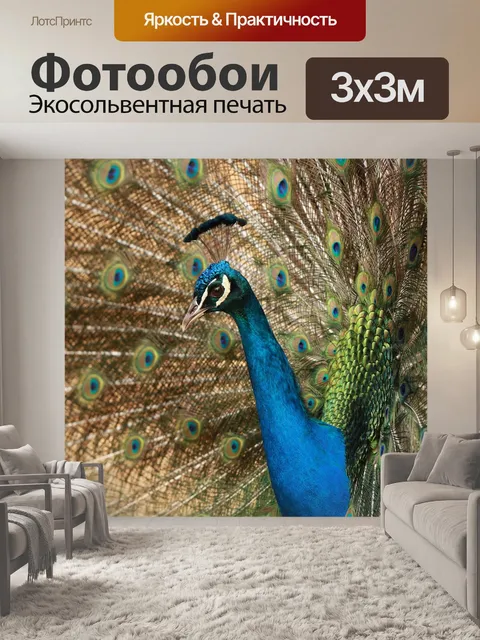 Фотообои Птица