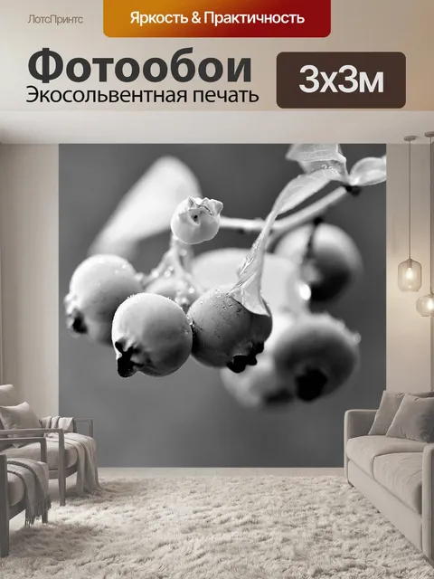 Фотообои Черно-белый