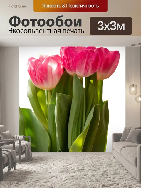 Фотообои PNG тюльпаны