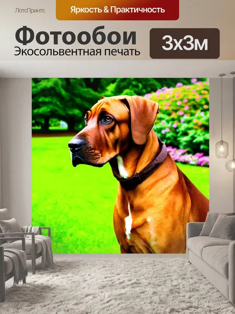 Фотообои родезийский риджбек, строгий и внимательный, на фоне ярко-зелёного сада