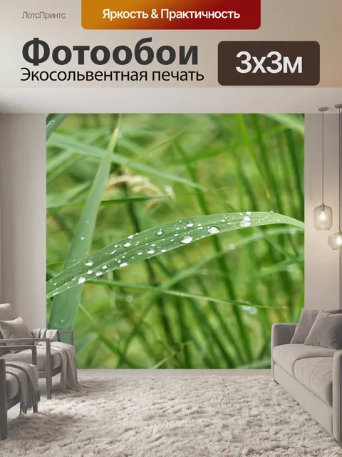 Фотообои Берег реки