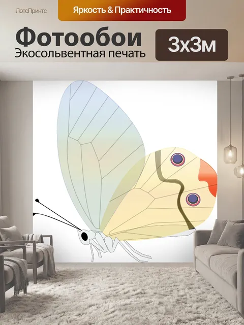 Фотообои Бабочка
