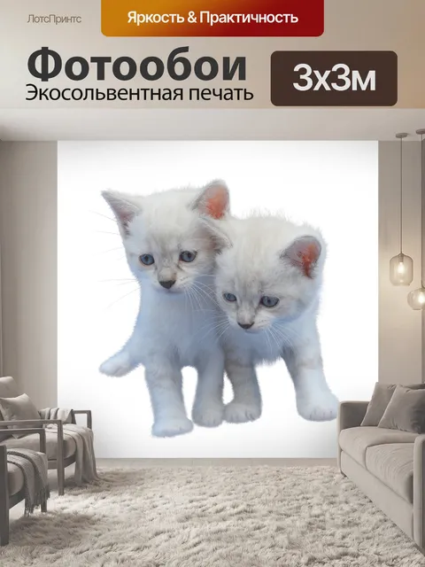 Фотообои Кошки