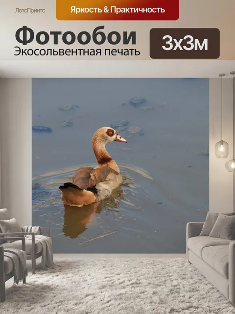 Фотообои Птица
