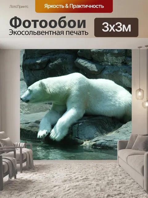 Фотообои Полярный Медведь